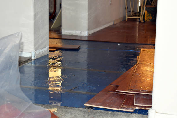Professional Basement Flood Cleanup technician working in Waterford, PA